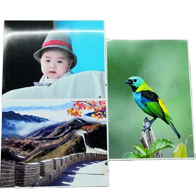 foto lucida Matte Inkjet Photo Paper Roll di carta di 260gsm Digital RC 17&quot; X30m
